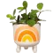 Pflanze 
