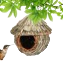 Vogelnest